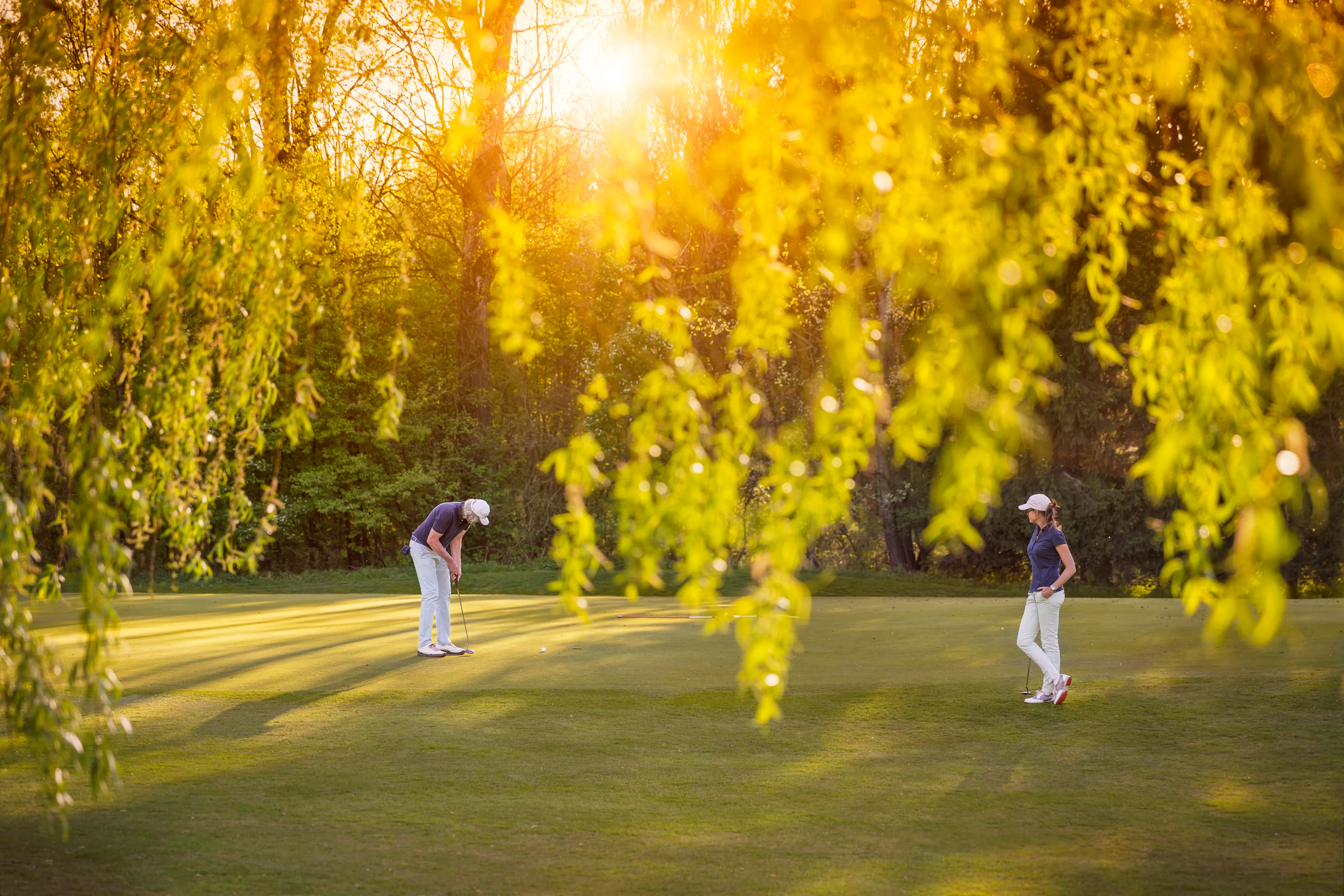 Two golfers on a green at golden hour, framed through willow branches